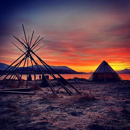 Northern Lights In The Heart Of Lejlighed *