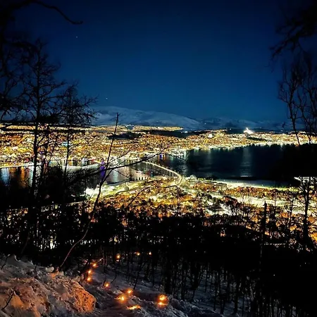 Northern Lights In The Heart Of *
